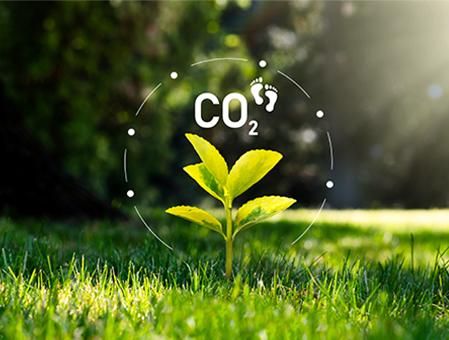 Low-carbon Production